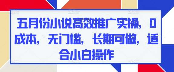 五月份小说高效推广实操，0成本，无门槛，长期可做，适合小白操作|无忧资源社