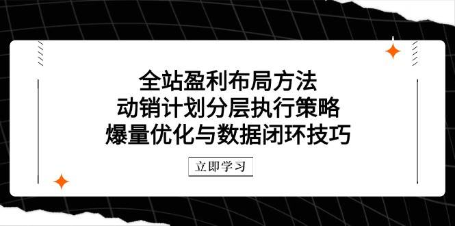 （14698期）全站盈利布局方法：动销计划分层执行策略，爆量优化与数据闭环技巧|无忧资源社