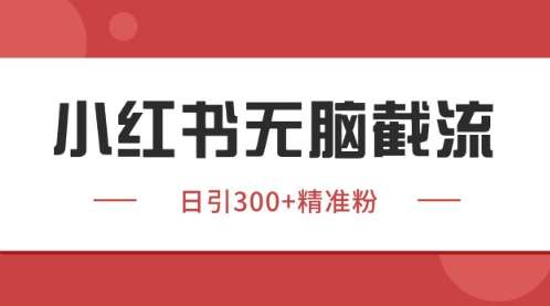 小红书只要你有同行就能获客，独家野路子获客玩法，暴力截流【揭秘】|无忧资源社