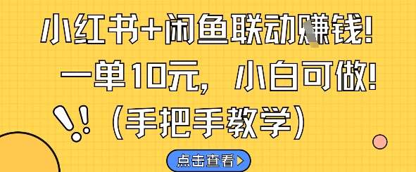 小红书+闲鱼联动挣钱，一单10元，小白可做|无忧资源社
