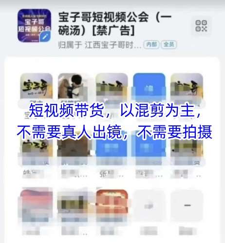 宝子哥头部团队短视频带货，以混剪为主，不需要真人出镜，不需要拍摄|无忧资源社