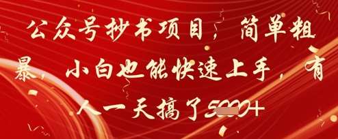 公众号抄书项目，简单粗暴，小白也能快速上手，有人一天搞了1k+|无忧资源社