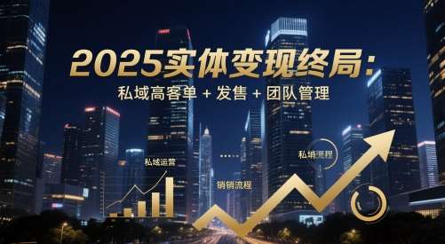 2025实体变现终局：私域高客单+发售+团队管理|无忧资源社