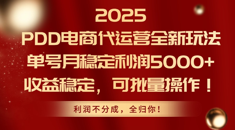 （14839期）2025PDD电商代运营全新玩法，单号月稳定利润5000+，收益稳定，可批量操作|无忧资源社