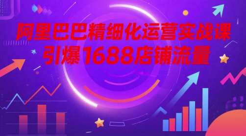 阿里巴巴精细化运营实战课，引爆1688店铺流量|无忧资源社