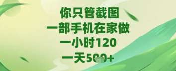 你只管截图，一部手机在家做，苹果安卓都可以，一天5张+【揭秘】|无忧资源社