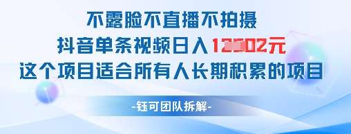 不露脸不直播不拍摄抖音单条视频日入1k+这个项目适合所有人长期积累的项目|无忧资源社