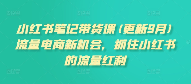 小红书笔记带货课(更新25年5月)流量电商新机会，抓住小红书的流量红利|无忧资源社