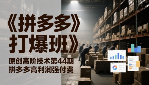 《拼多多打爆班》原创高阶技术第44期，拼多多高利润强付费|无忧资源社