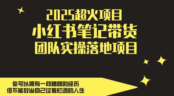 2025超火项目，副业最佳选择，小红书笔记带货团队实操落地项目，，轻松日入5张|无忧资源社