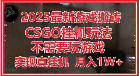 2025最新游戏搬砖，CSGO挂G，不需要玩游戏，实现真挂G，月入1W+【揭秘】|无忧资源社