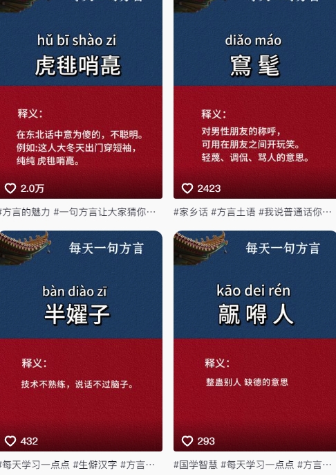 图片[2]|抖音最新涨粉玩法，图文方言暴力涨粉实操，126作品涨粉11W|无忧资源社