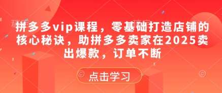 拼多多vip课程，零基础打造店铺的核心秘诀，助拼多多卖家在2025卖出爆款，订单不断|无忧资源社