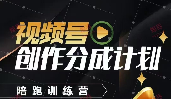 视频号创作分成计划陪跑训练营，手把手教会你如何制作视频，细水长流型项目|无忧资源社
