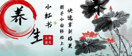 疯狂火爆，用Deepseek小红书平台的女性古声古韵养生爆款，小白轻松制作，快速拿到结果|无忧资源社