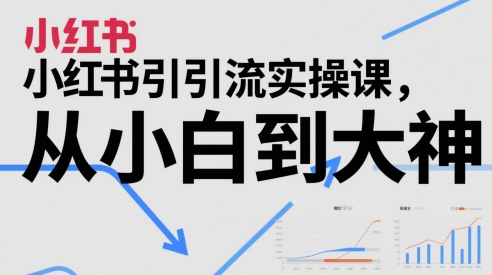 小红书引流实操课，从小白到大神|无忧资源社