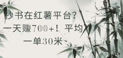 抄书在小红薯平台？平均一单30米，一天收益几张！|无忧资源社