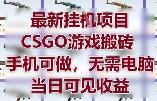 最新挂G项目，CSGO游戏搬砖，手机可做，无需电脑，当日见收益【揭秘】|无忧资源社