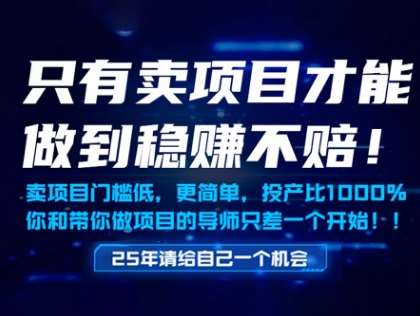 只有卖项目才能做到稳挣不赔，门槛低，更简单，你也可以年入百个W【揭秘】|无忧资源社