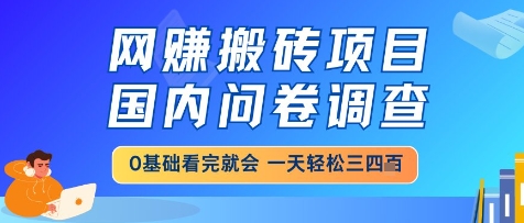 网创搬砖项目，国内问卷调查，小白轻松上手，一天三四张的也不难，干就完了【揭秘】|无忧资源社