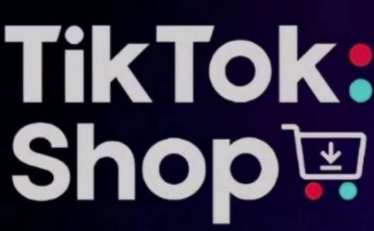 TikTokShop跨境电商0-1实战，手把手教你低成本启动海外市场（更新）|无忧资源社