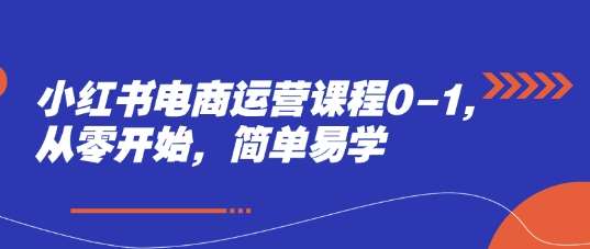 小红书电商运营课程0-1，从零开始，简单易学|无忧资源社