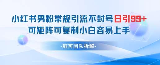 小红书男粉常规引流不封号日引99+变现简单 可矩阵可复制小白容易上手|无忧资源社