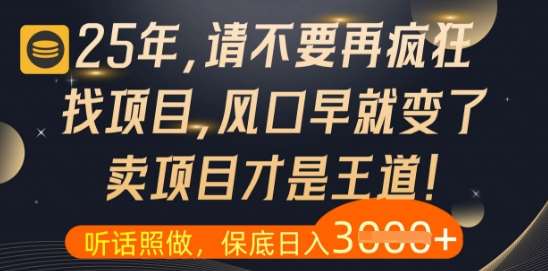 什么？25年你还在疯狂找项目做，醒醒吧，看完这些你全都懂了【揭秘】|无忧资源社