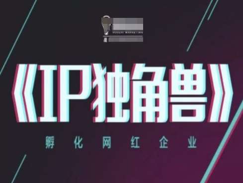 IP独角兽，孵化网红企业，ip教程|无忧资源社