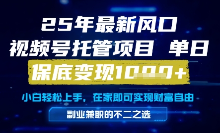 25年最新风口，视频号托管项目，单日保底变现1k+，手把手教学【揭秘】|无忧资源社
