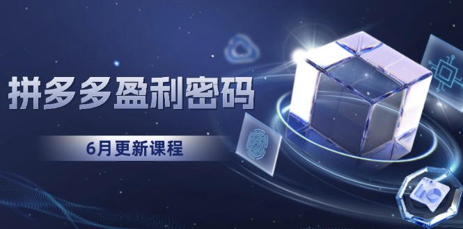 （15005期）拼多多盈利密码：从烧钱推广到印钞模型，底层逻辑重构指南（6月更新）|无忧资源社
