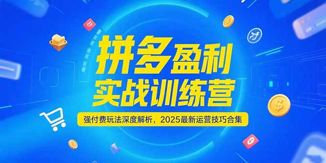 （15183期）拼多多盈利实战训练营，强付费玩法深度解析，2025运营技巧合集-更新6月|无忧资源社