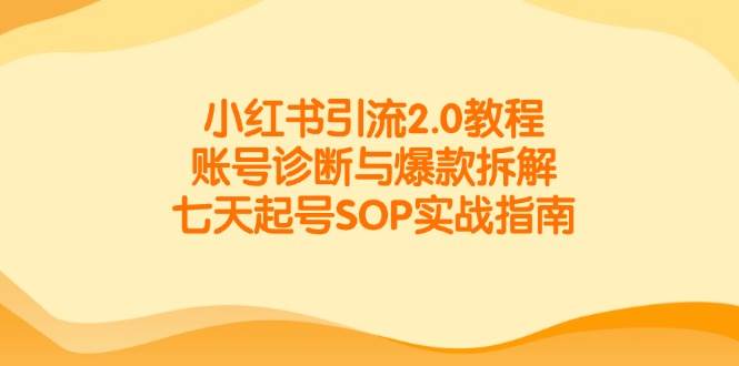 小红书引流2.0教程，账号诊断与爆款拆解，七天起号SOP实战指南|无忧资源社