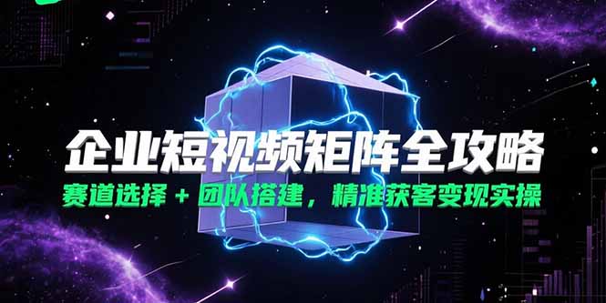 （15242期）企业短视频矩阵全攻略，赛道选择+团队搭建，精准获客变现实操|无忧资源社