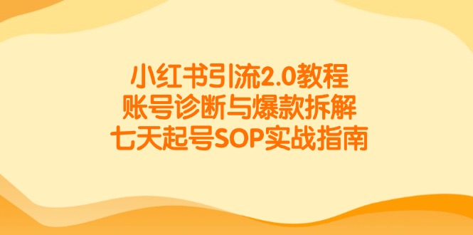 （14981期）小红书引流2.0教程，账号诊断与爆款拆解，七天起号SOP实战指南|无忧资源社