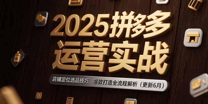 （15235期）2025拼多多运营实战：店铺定位选品技巧，爆款打造全流程解析（更新6月）|无忧资源社