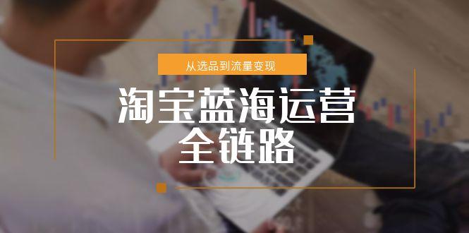 （15160期）淘宝蓝海运营全链路，从选品到流量变现，小类目突围完整方案|无忧资源社