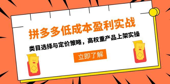（15143期）拼多多低成本盈利实战，类目选择与定价策略，高权重产品上架实操|无忧资源社