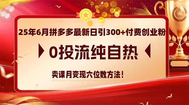 （14989期）25年6月拼多多最新日引300+付费创业粉，0投流纯自热 卖课月变现六位数方法|无忧资源社