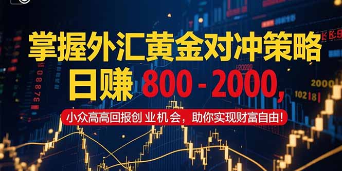 （15198期）掌握外汇黄金对冲策略，日赚 800 – 2000，小众高回报创业机会，助你实…|无忧资源社