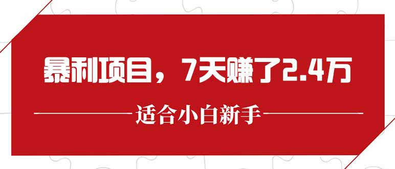 （15228期）最新暴利项目，每单收益轻松在300以上，7天赚了2.4万|无忧资源社