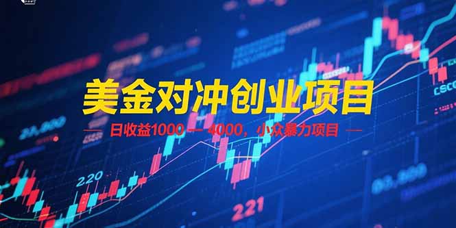 （15187期）美金对冲创业项目，日收益 1000 – 4000，小众暴力项目|无忧资源社