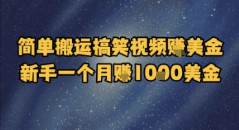 简单搬运搞笑视频挣美金，新手一个月入1k美金|无忧资源社