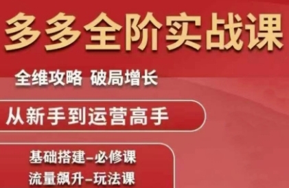 拼多多全阶实战课程，全维攻略，破局增长，从新手到运营高手|无忧资源社