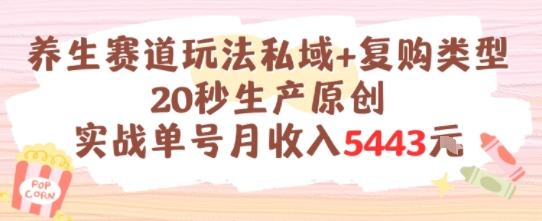 养生赛道玩法私域+复购类型，20秒生产原创实战单号月收入5k+|无忧资源社