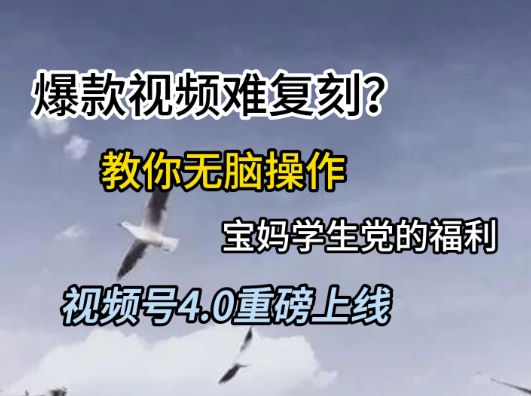 视频号4.0重磅上线，爆款视频难复刻？教你无脑操作宝妈学生党的福利【揭秘】|无忧资源社