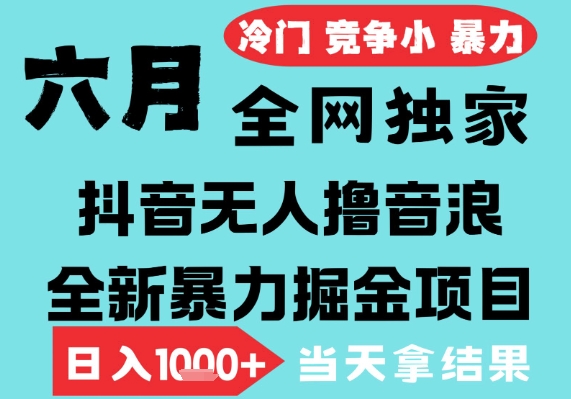 2025年6月高爆抖音无人直播最新撸音浪掘金项目，无脑日入1k+，低门槛小白可做，可矩阵放大【揭秘】|无忧资源社