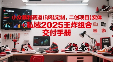 小众暴利赛道(球鞋定制，二创项目)实体+私域2025王炸组合  交付手册|无忧资源社