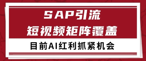 小红书某音sap赛道引流获客 自热矩阵日引200+【揭秘】|无忧资源社
