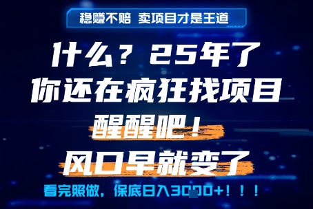 什么？25年你还在疯狂找项目做，醒醒吧，看完这些你全都懂了！【揭秘】|无忧资源社